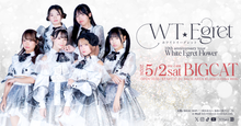 画像をギャラリービューアに読み込む, WT☆Egret 10th anniversary tour. White Egret Flower Tour FINAL @BIGCAT
